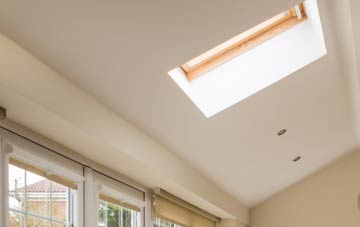 Biddick conservatory roof insulation companies