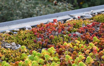 the cost of Biddick green roof installation