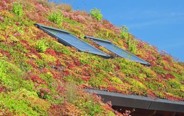 Biddick living roof systems