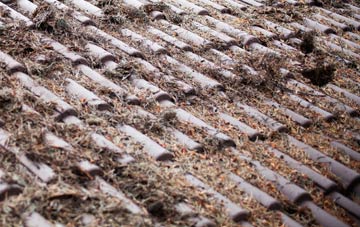 Biddick roof cleaning companies