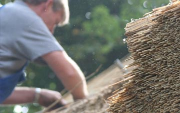 professional Biddick thatchers