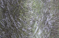 Biddick fibreglass roof work