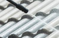 rated Biddick roof cleaning companies