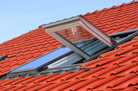 Biddick roof window
